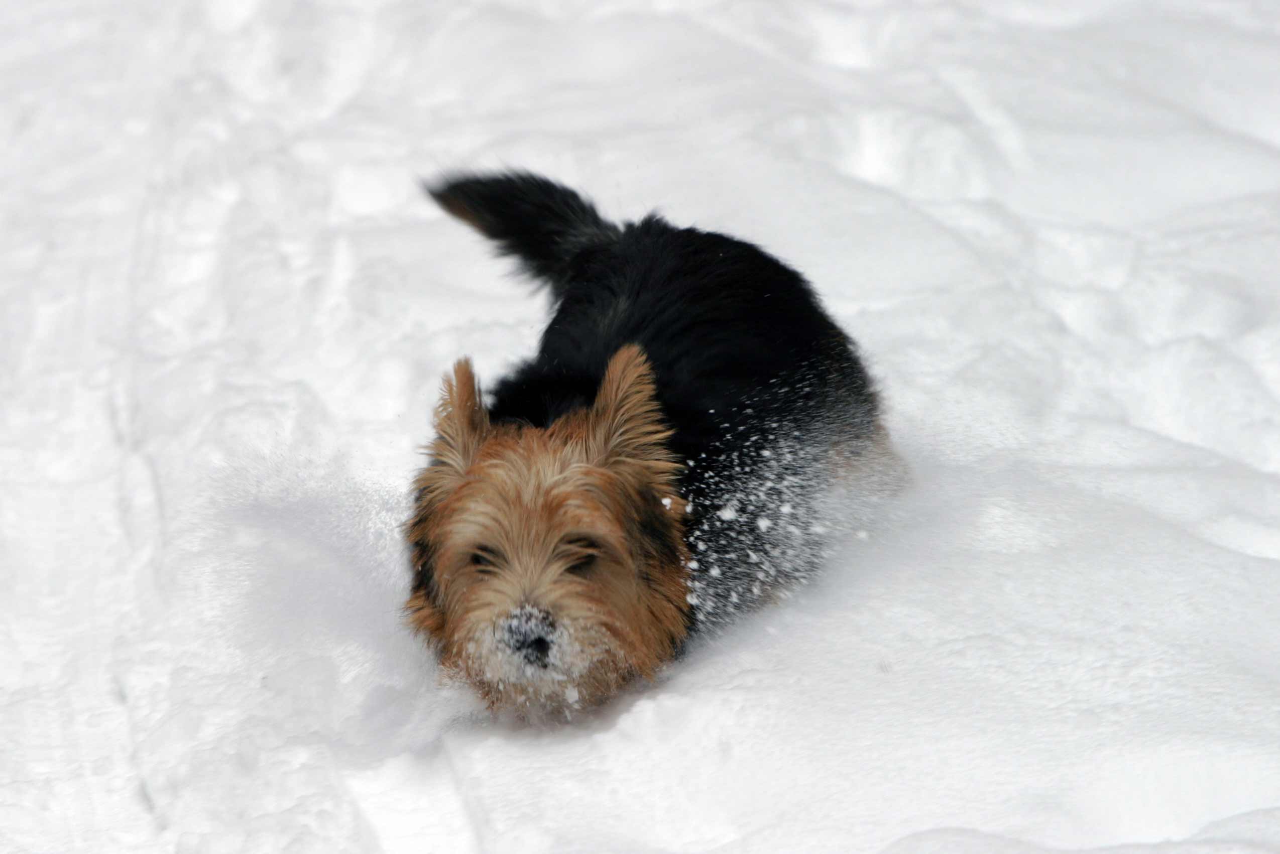 Schnee, das gefällt mir